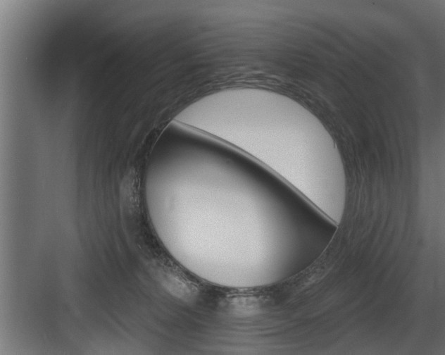 X0000083610228200702120732