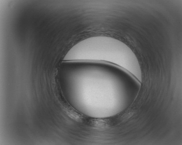 X0000083610229200702120732