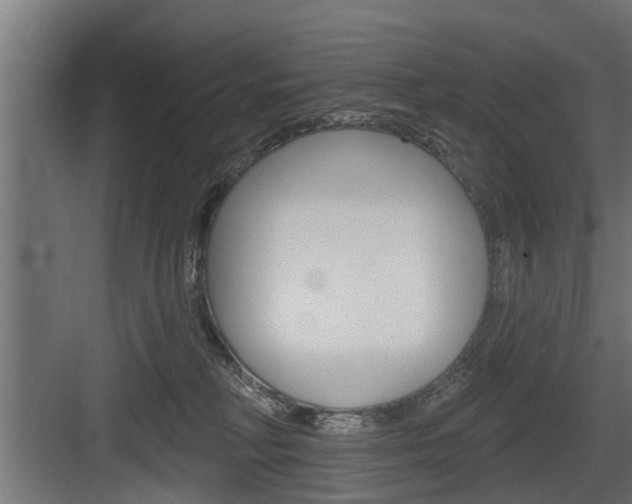 X0000083610230200702120732