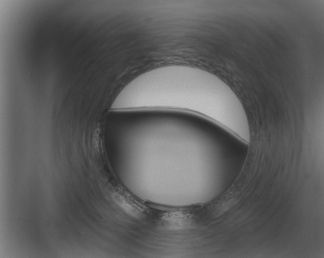 X0000083610231200702120732