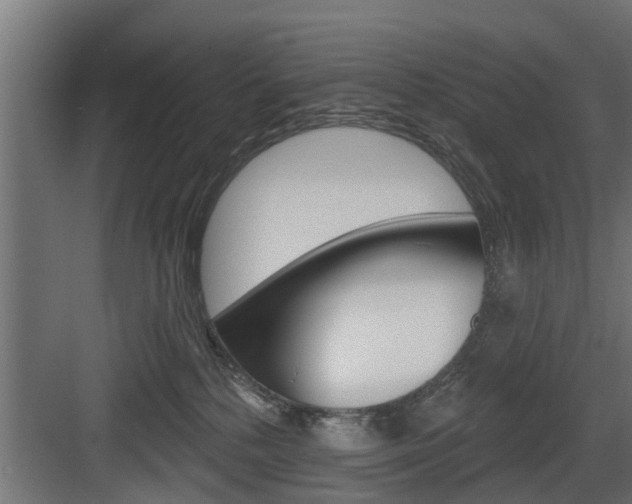 X0000083610232200702120732