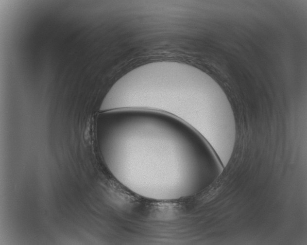 X0000083610233200702120732