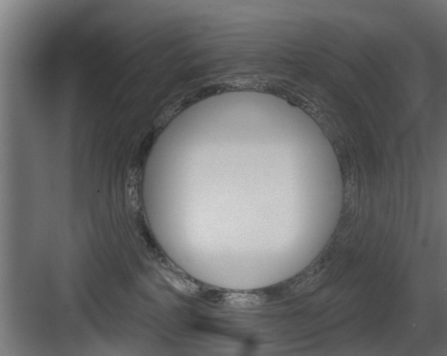 X0000083610234200702120732