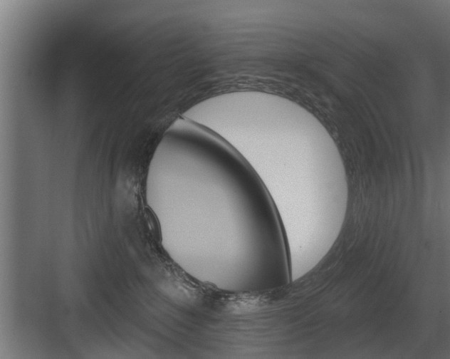 X0000083610235200702120732