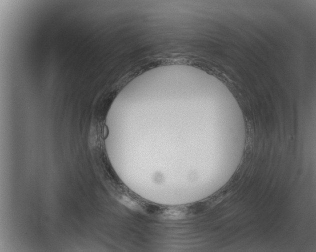 X0000083610236200702120732