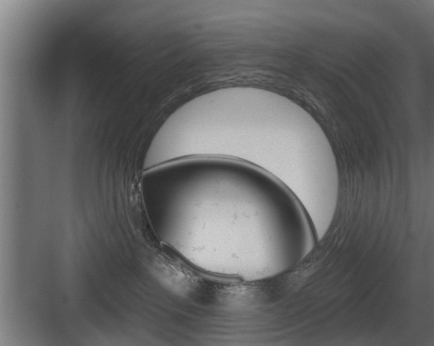 X0000083610237200702120732