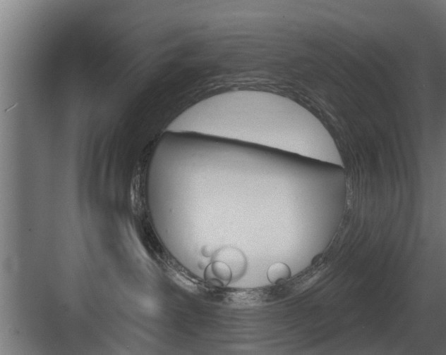 X0000083610238200702120732