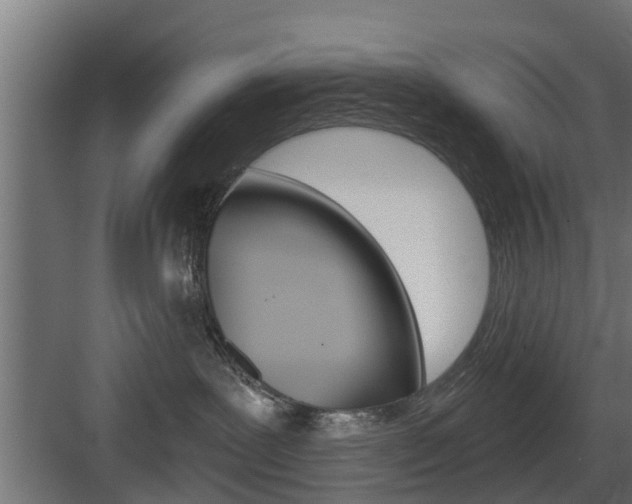 X0000083610239200702120731