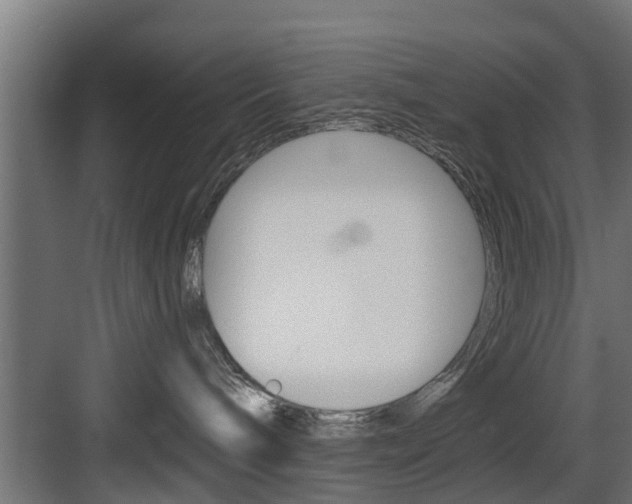 X0000083610240200702120731