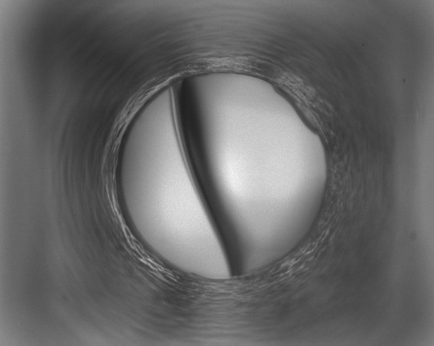 X0000083610241200702120731