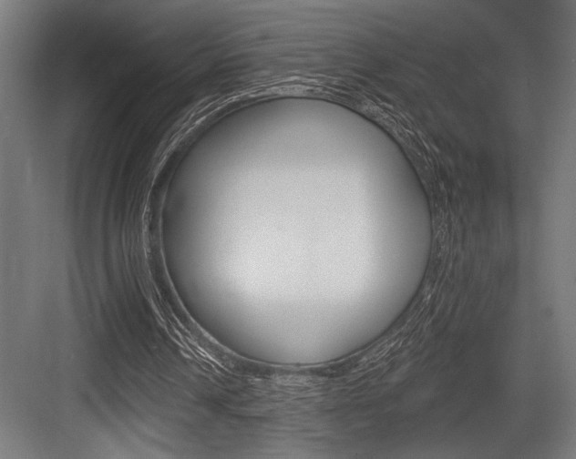 X0000083610242200702120731