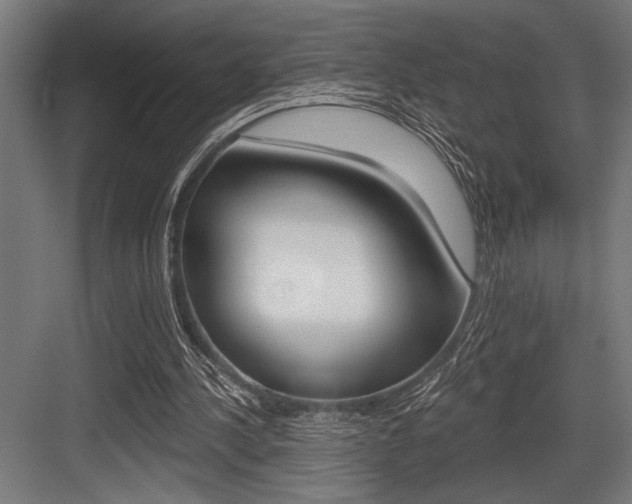 X0000083610244200702120731