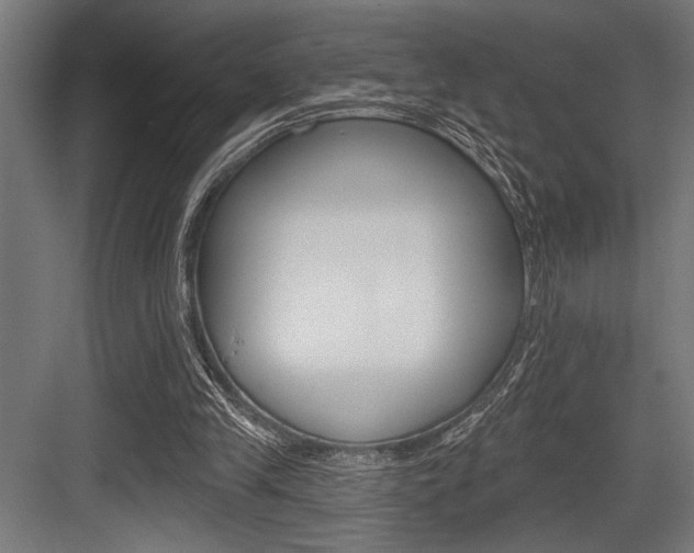 X0000083610245200702120731