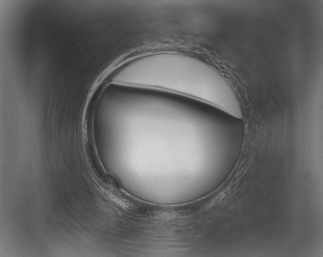 X0000083610246200702120731