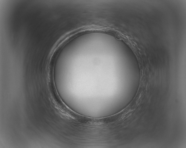 X0000083610247200702120731