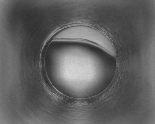 X0000083610248200702120731