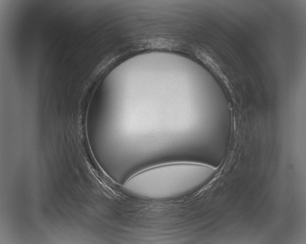 X0000083610249200702120731