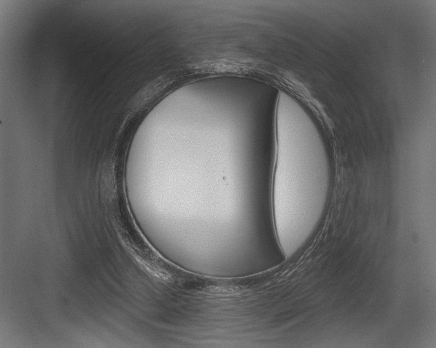 X0000083610250200702120731