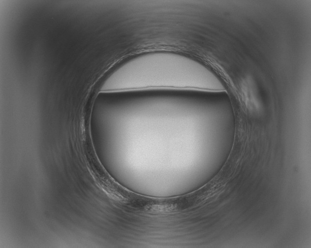 X0000083610251200702120731