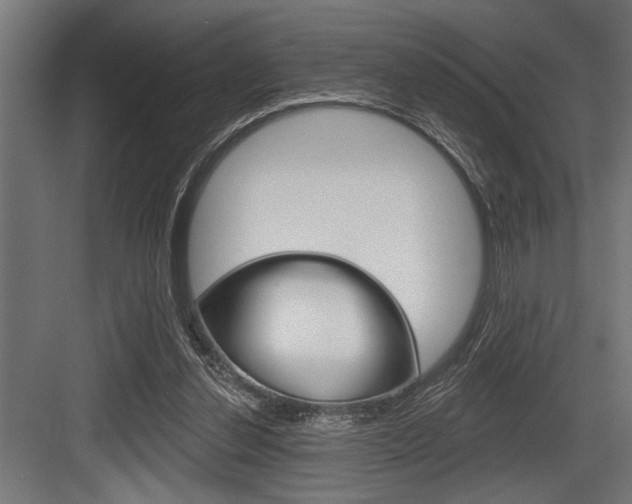 X0000083610252200702120731