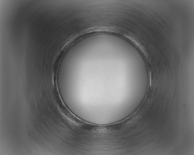 X0000083610253200702120731