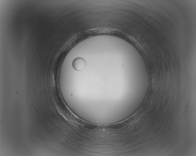 X0000083610254200702120731