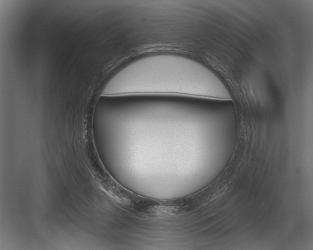 X0000083610255200702120731