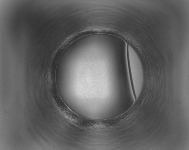 X0000083610256200702120731