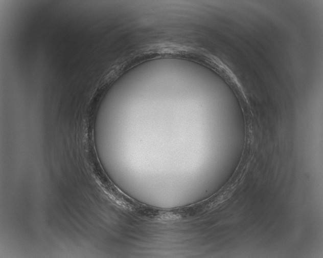 X0000083610257200702120731