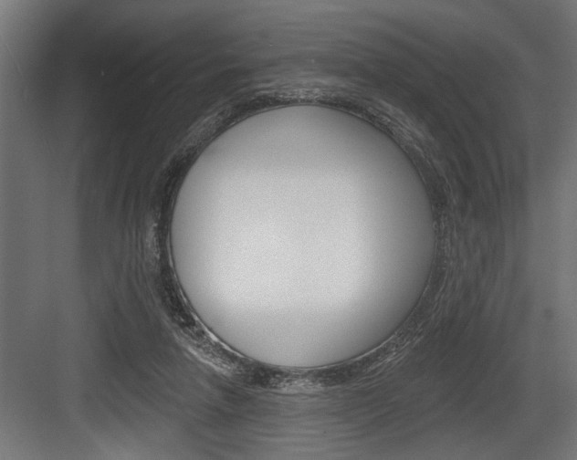 X0000083610258200702120731