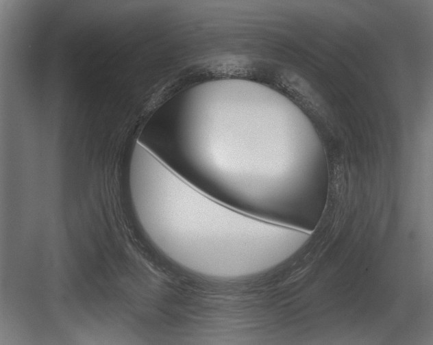 X0000083610259200702120731