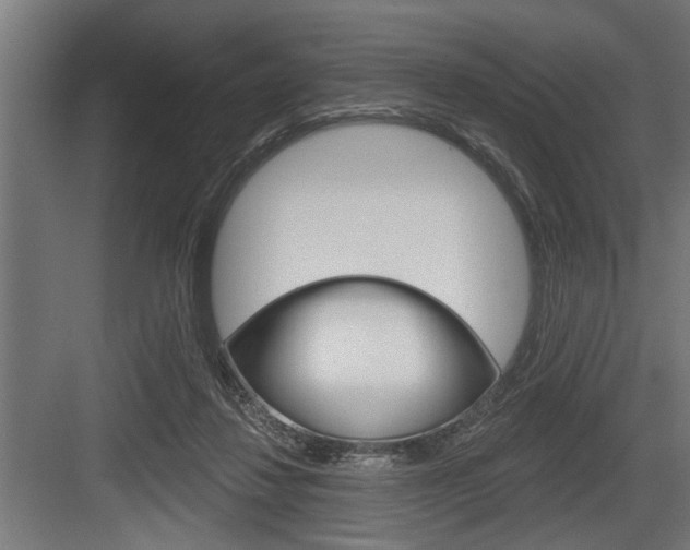 X0000083610260200702120731