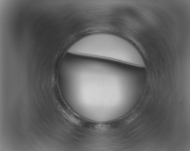 X0000083610261200702120731