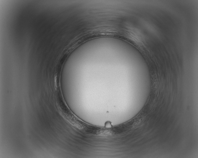 X0000083610262200702120731