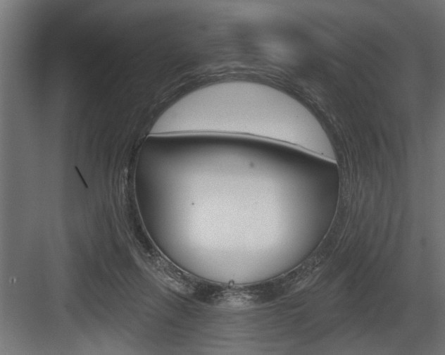 X0000083610263200702120731