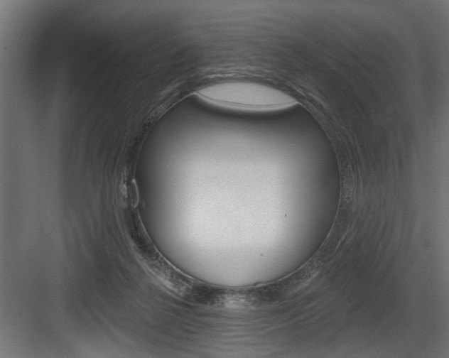 X0000083610264200702120731