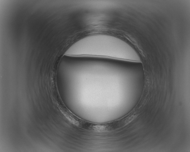 X0000083610265200702120731