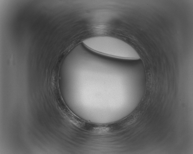 X0000083610266200702120731