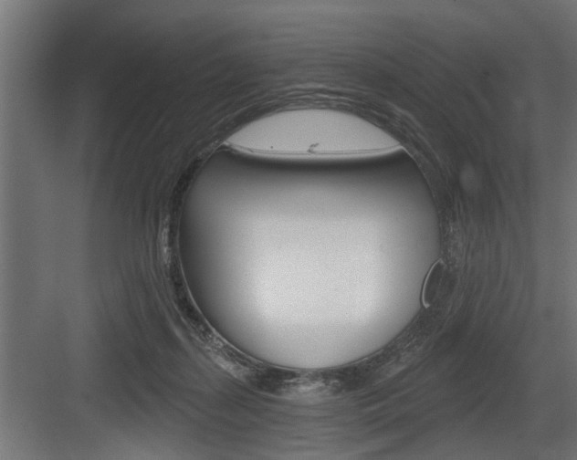 X0000083610267200702120731