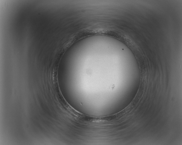 X0000083610268200702120731