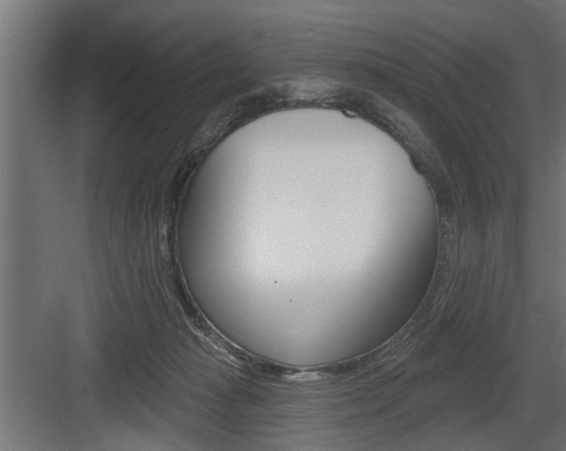 X0000083610269200702120731