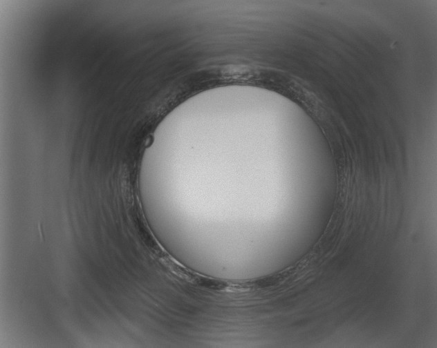 X0000083610270200702120731