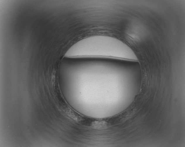 X0000083610271200702120731