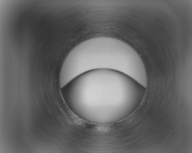 X0000083610272200702120731