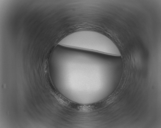 X0000083610273200702120731