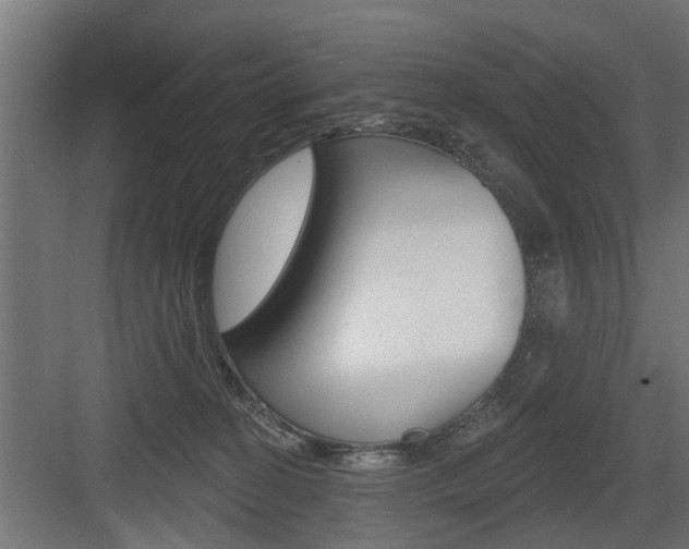 X0000083610274200702120731