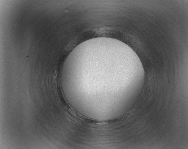 X0000083610275200702120731