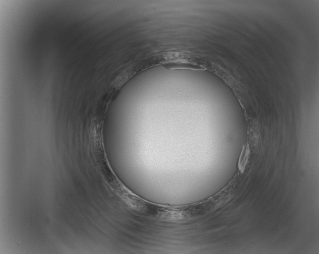 X0000083610276200702120731