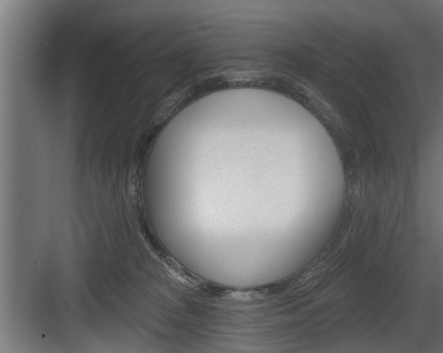 X0000083610277200702120731