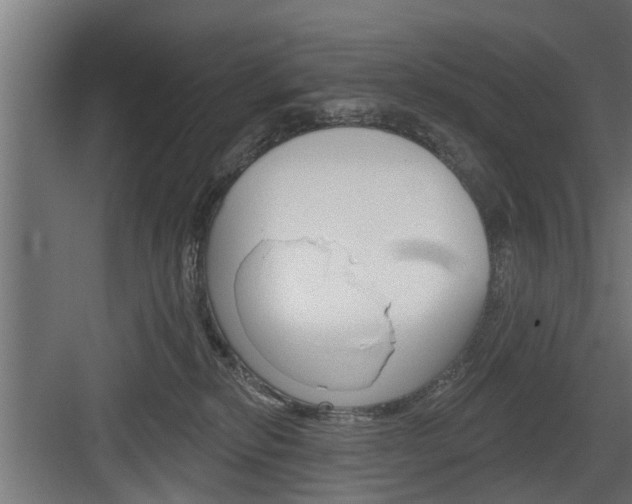 X0000083610278200702120731